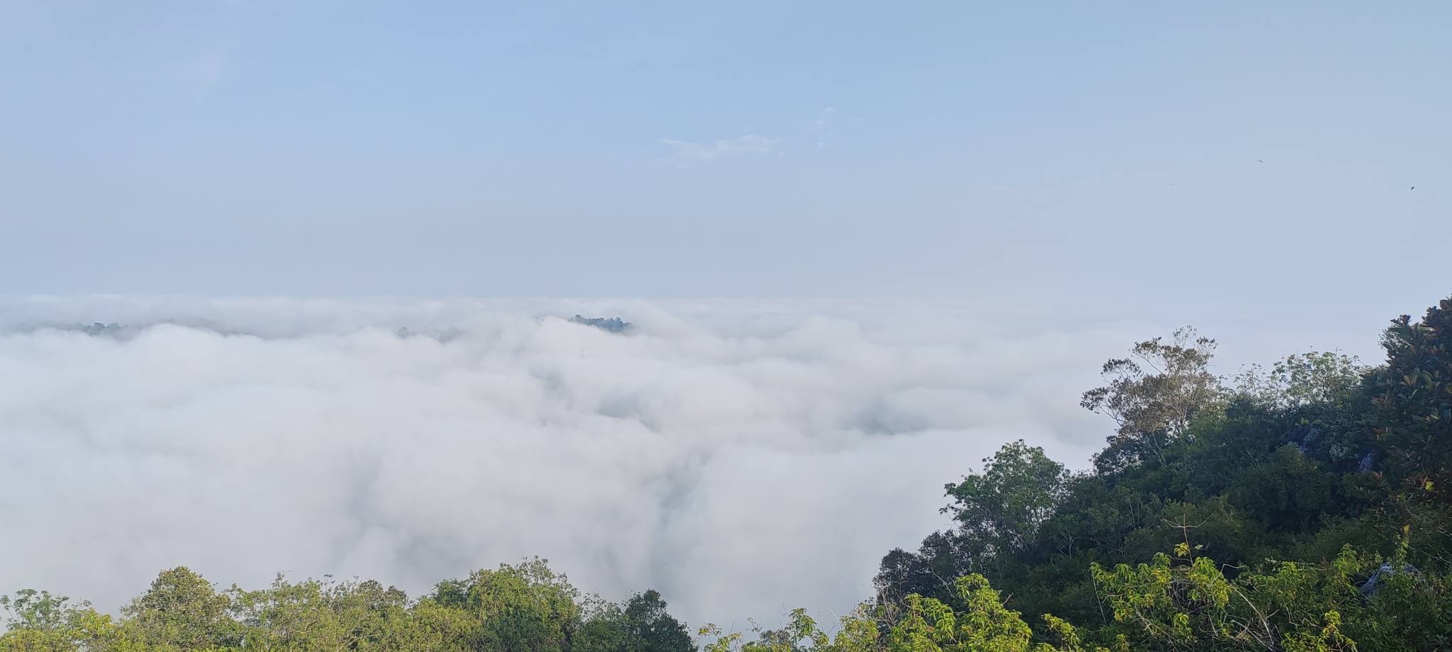 Beginner-Friendly Hikes Near Kuala Lipis